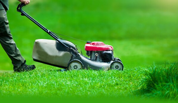 Lawn Care Or Lawn Maintenance For Property Preservation Processing